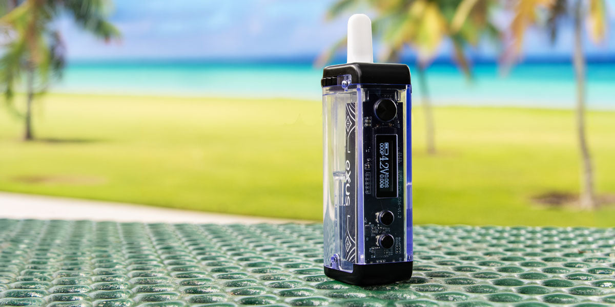 Exxus Adapt standing on a green textured surface with a blurred beach and palm trees in the background.